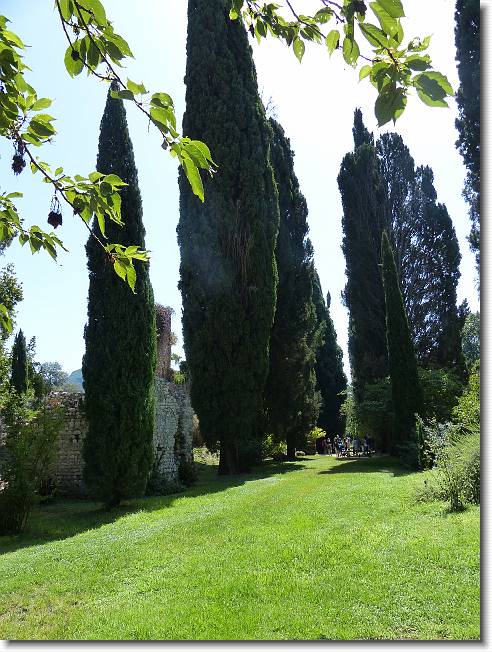 Clicca per scorrere le foto originali ingrandite