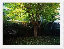 IMG_20201025_143725 * 3648 x 2736 * (2.39MB)