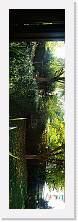 IMG_20201025_143757 * 2138 x 7483 * (1.33MB)