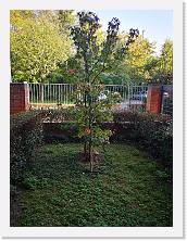 IMG_20201025_144134 * 2736 x 3648 * (2.74MB)