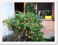 IMG_20201025_144209 * 3648 x 2736 * (2.48MB)