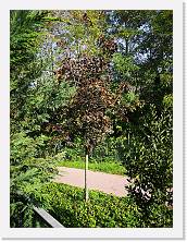 IMG_20201031_130858 * 2736 x 3648 * (3.82MB)