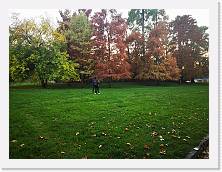 IMG_20201108_162025 * 3648 x 2736 * (2.45MB)