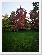 IMG_20201108_162104 * 2736 x 3648 * (1.29MB)