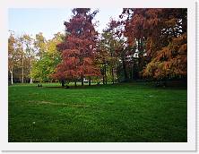IMG_20201108_162202 * 3648 x 2736 * (2.43MB)