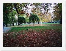 IMG_20201108_164240 * 3648 x 2736 * (3.3MB)