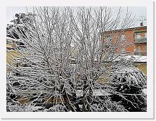 IMG_20210213_081919 * 3648 x 2736 * (2.98MB)