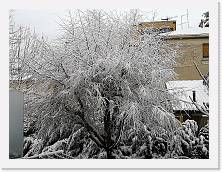 IMG_20210213_081929 * 3648 x 2736 * (2.66MB)