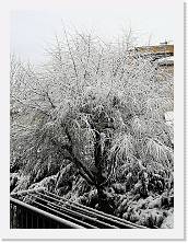 IMG_20210213_081933 * 2736 x 3648 * (2.69MB)
