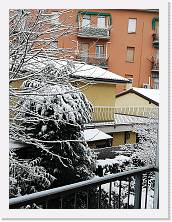 IMG_20210213_081945 * 2736 x 3648 * (2.23MB)