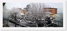 IMG_20210213_082138 * 6191 x 2584 * (3.28MB)