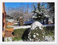 IMG_20210213_130417 * 3648 x 2736 * (3.25MB)