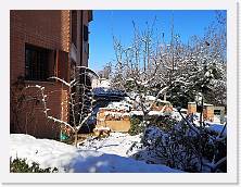 IMG_20210213_130447 * 3648 x 2736 * (2.4MB)