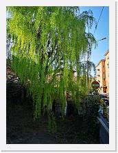 IMG_20210330_092820 * 2736 x 3648 * (2.72MB)