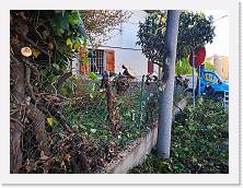IMG_20210414_094710 * 3648 x 2736 * (2.46MB)
