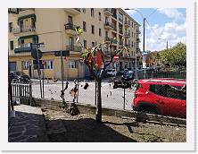 IMG_20210414_132953 * 3648 x 2736 * (2.3MB)