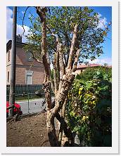 IMG_20210414_132957 * 2736 x 3648 * (2.65MB)
