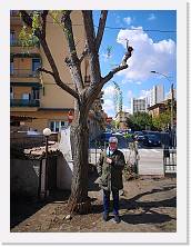 IMG_20210414_133107 * 2736 x 3648 * (1.96MB)