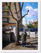 IMG_20210414_133109 * 2736 x 3648 * (2.02MB)