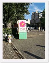 IMG_20210509_180610 * 2736 x 3648 * (2.74MB)