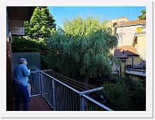 IMG_20210517_074045 * 3648 x 2736 * (2.15MB)