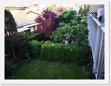 IMG_20210517_074111 * 3648 x 2736 * (2.35MB)