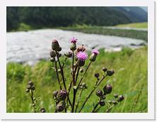 C1IMG_20210713_101642 * 3648 x 2736 * (352KB)