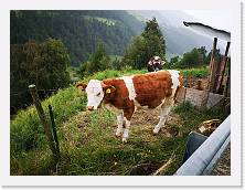 C5IMG_20210713_120316 * 3648 x 2736 * (2.43MB)
