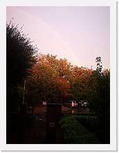 IMG_20210926_185559 * 2736 x 3648 * (952KB)