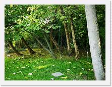 IMG_20211017_131644 * 3648 x 2736 * (3.15MB)