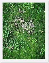 IMG_20211017_131656 * 2736 x 3648 * (4.16MB)
