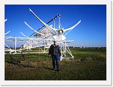 IMG_20211017_162956 * 3648 x 2736 * (2.04MB)