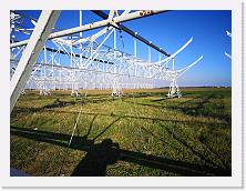 IMG_20211017_163212 * 3648 x 2736 * (2.3MB)