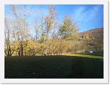 IMG_20211121_130732 * 3648 x 2736 * (2.24MB)