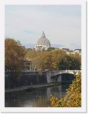 IMG_20211115_104847 * 2736 x 3648 * (534KB)