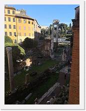 IMG_20211115_124809 * 2736 x 3648 * (1.67MB)