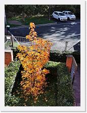 IMG_20211104_093645 * 2736 x 3648 * (5.19MB)