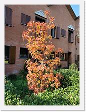 IMG_20211107_131320 * 2736 x 3648 * (5.3MB)