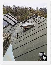 IMG_20211120_104323 * 2736 x 3648 * (1.56MB)