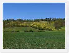 IMG_20220410_124309 * 3648 x 2736 * (2.25MB)