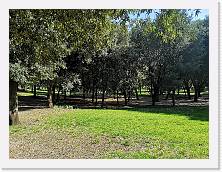 IMG_20220405_155200 * 3648 x 2736 * (3.66MB)