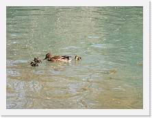 IMG_20220405_162139 * 3648 x 2736 * (475KB)
