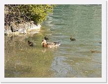 IMG_20220405_162143 * 3648 x 2736 * (644KB)