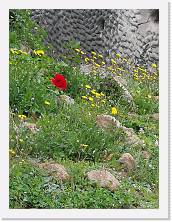 IMG_20220406_114156 * 2736 x 3648 * (867KB)