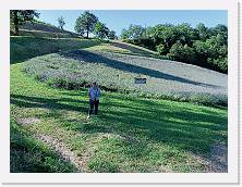 IMG20220611175021 * 4624 x 3468 * (11.17MB)