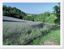 IMG20220611175209 * 4624 x 3468 * (11.03MB)