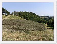 IMG20220724111402 * 4624 x 3468 * (8.72MB)