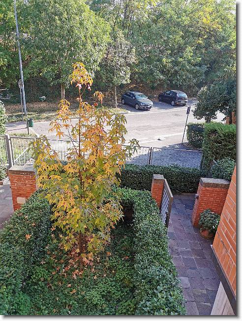 Clicca per scorrere le foto originali ingrandite