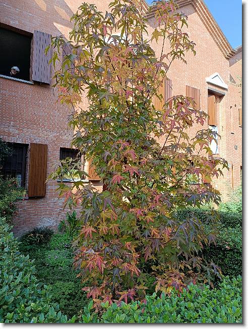 Clicca per scorrere le foto originali ingrandite