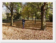 2022-10-29-15h36m05 * 4608 x 3456 * (4.03MB)